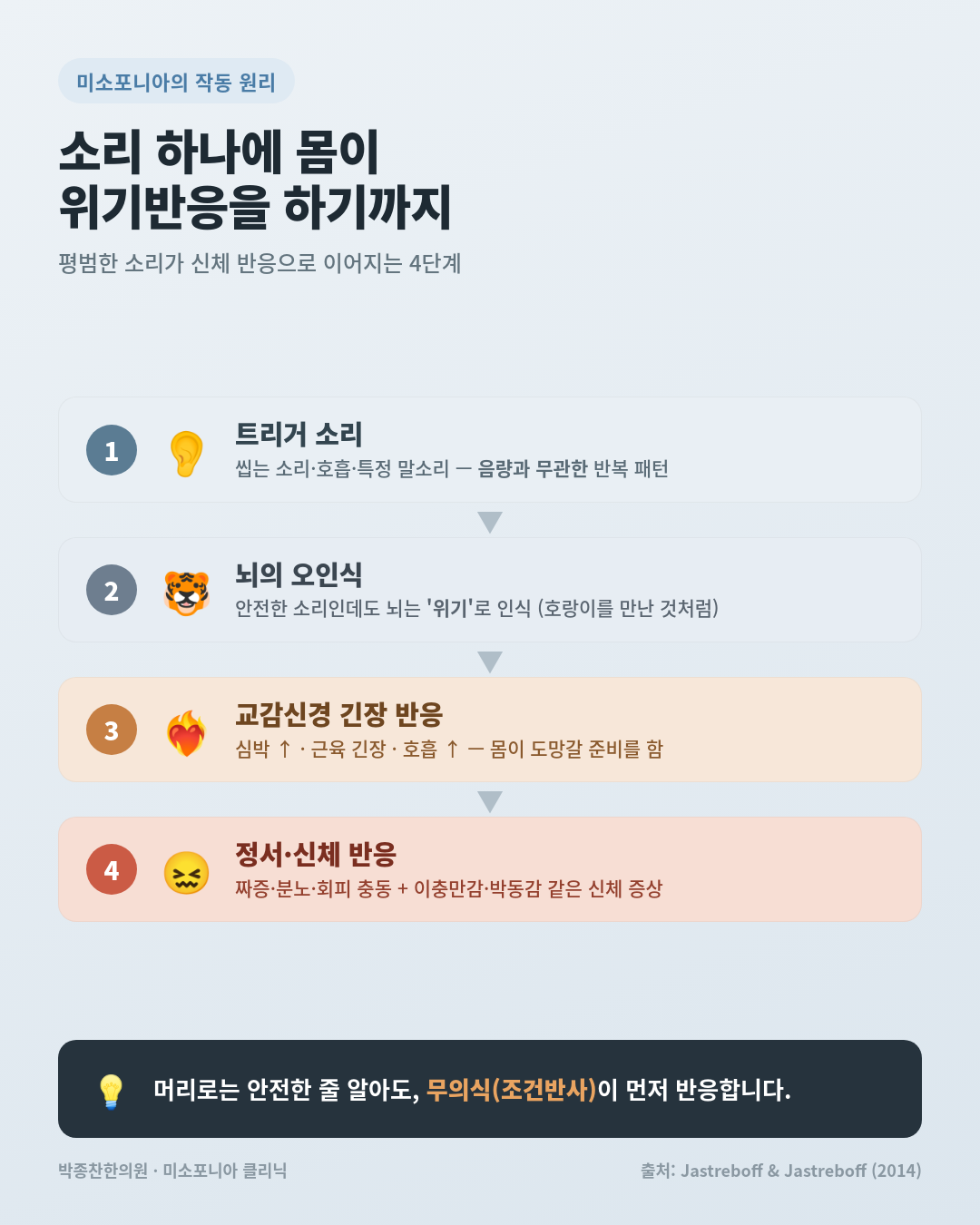 소리 하나에 몸이 위기반응을 하기까지 — 미소포니아 기전 인포그래픽